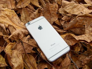苹果芯片革命，4款新芯片如何为iPhone 13系列赋能