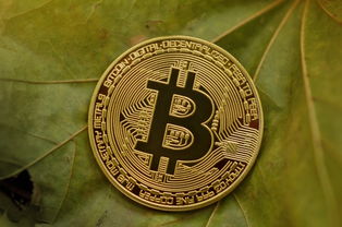 库克的宏伟蓝图，苹果6000亿美元投资计划背后的战略布局